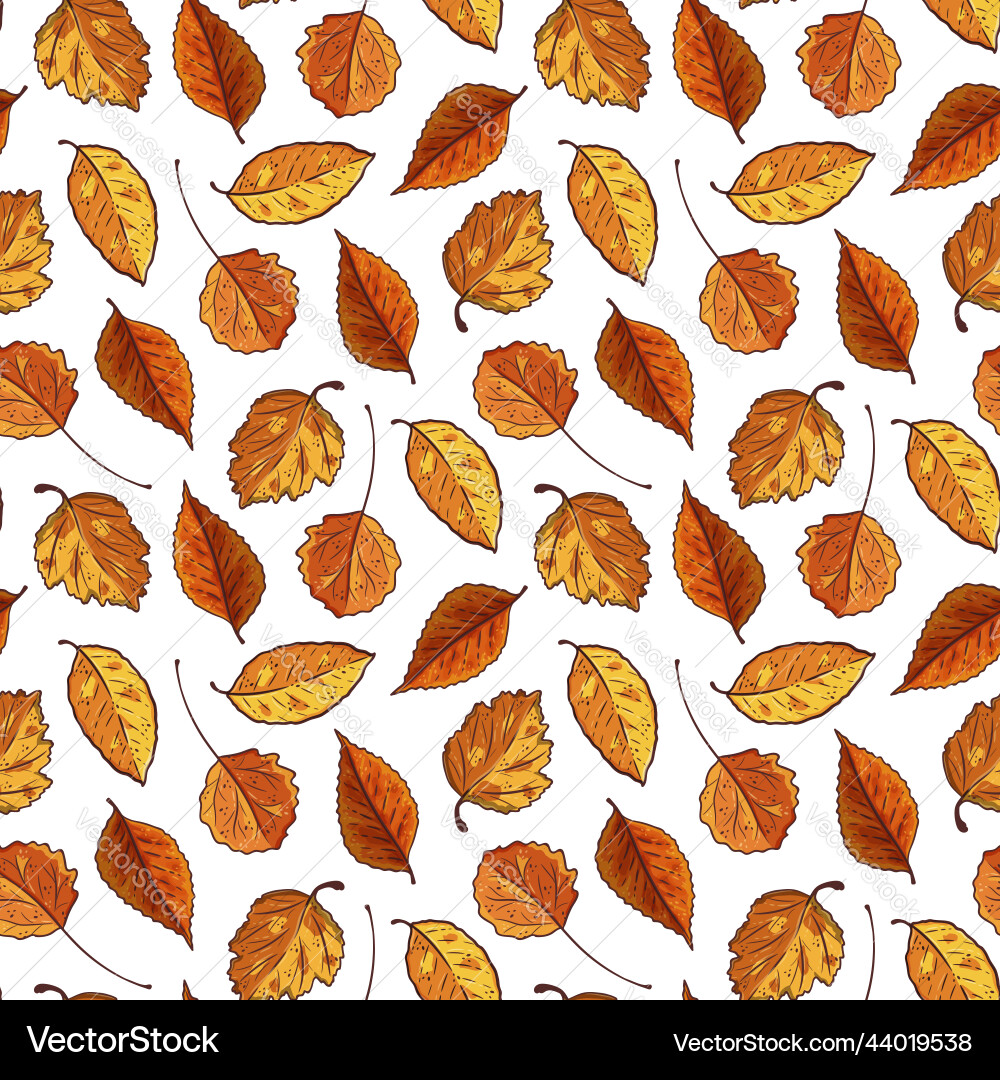 Seamless pattern with autumn color leaves fall Seamless pattern with autumn color leaves fall vector image