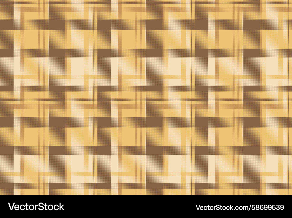 Frame pattern check texture feminine fabric Vector Image
