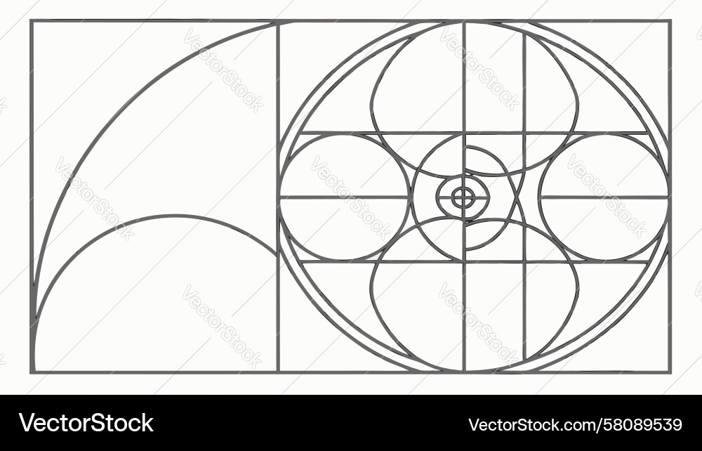 Golden Ratio Fibonacci Grid Vector Image