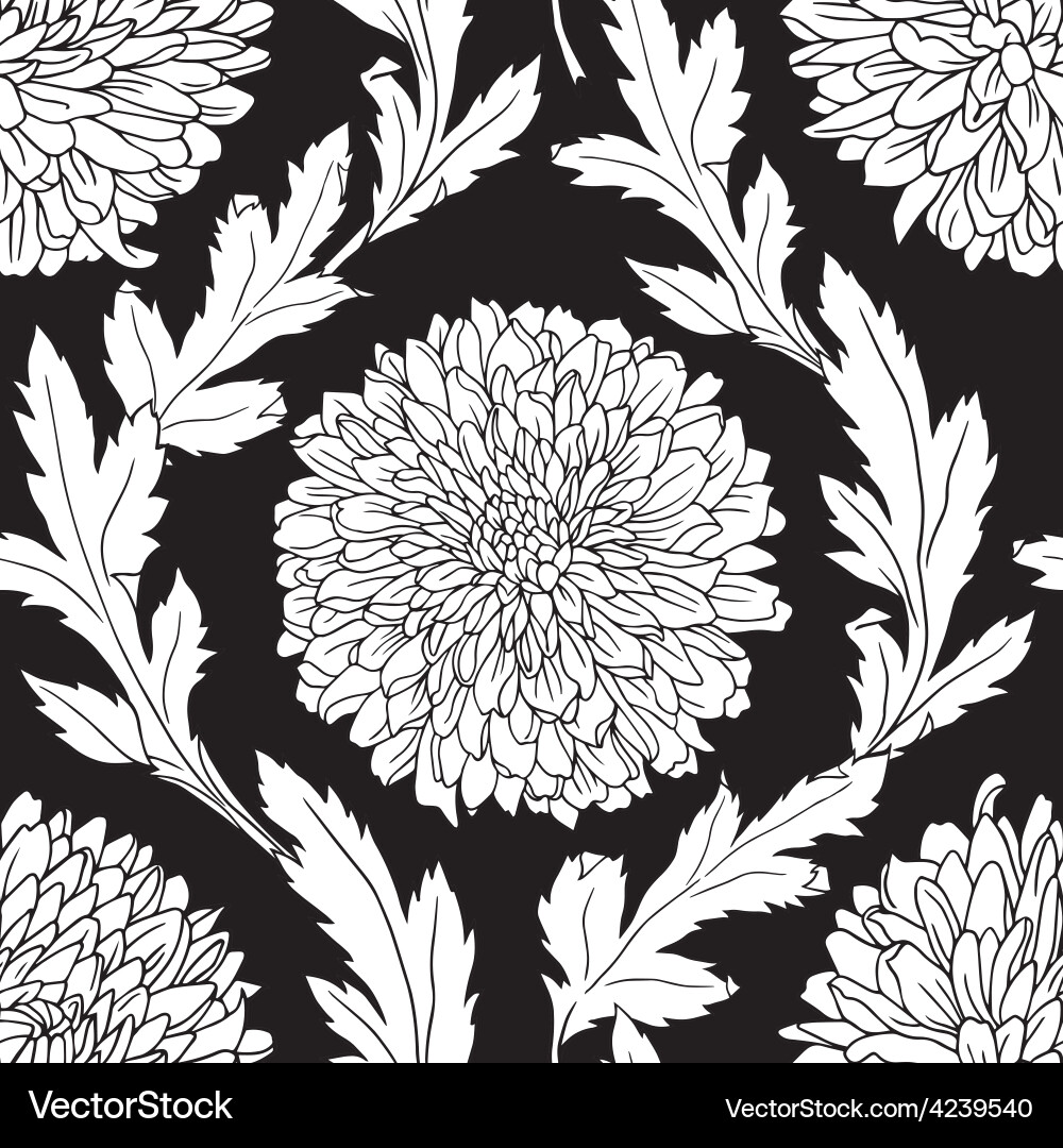 Chrysanthemum Floral Pattern vector image
