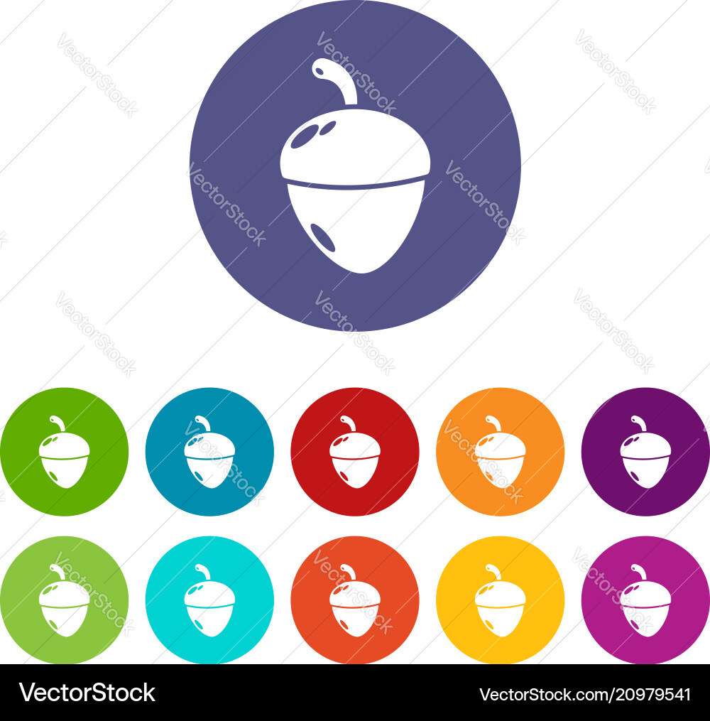 Acorn icons set color Acorn icons set color vector image