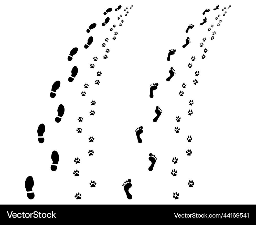 Print Vector Image
