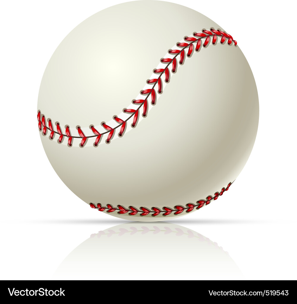 Baseball Ball Vector Image
