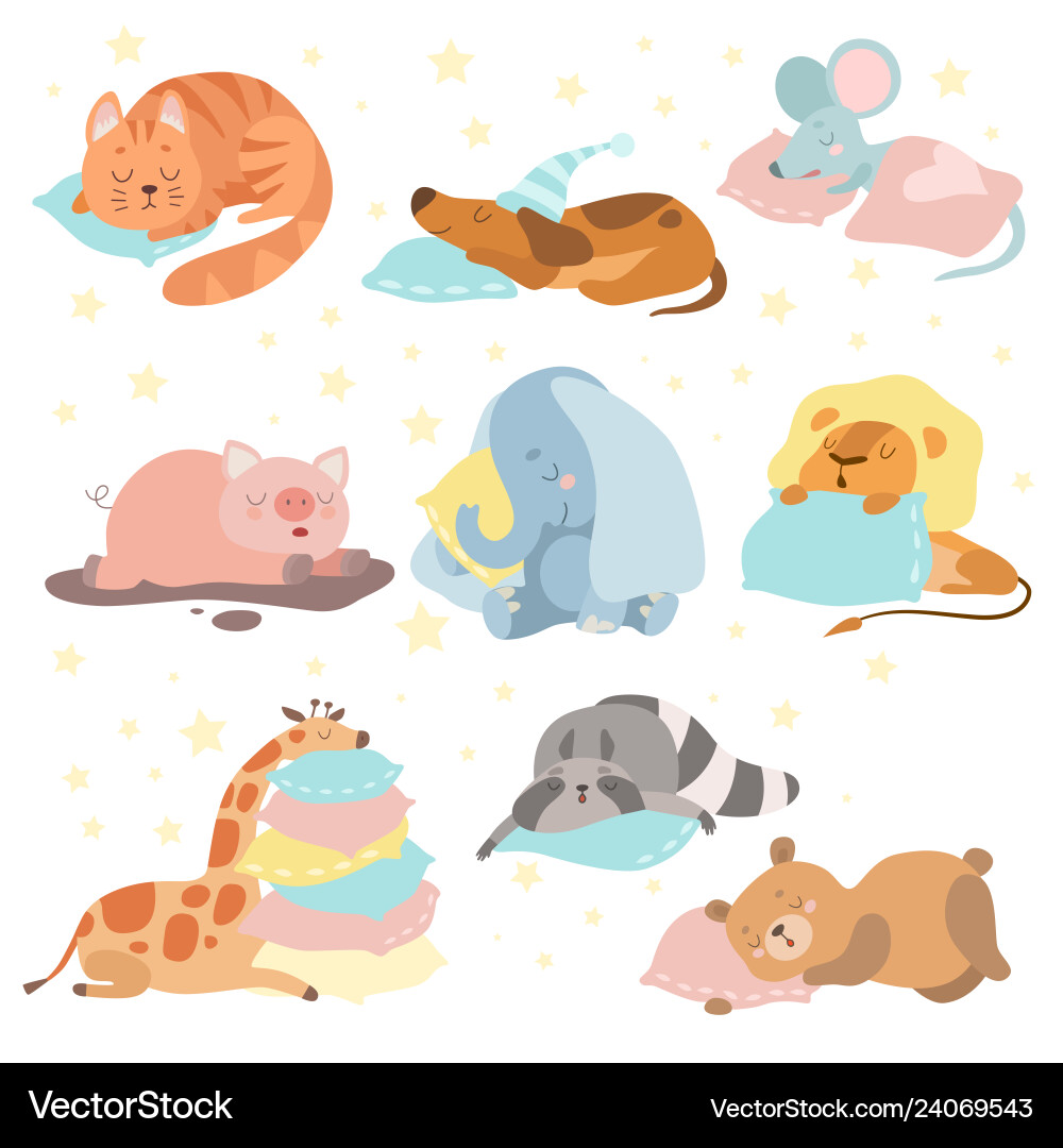 Cute animals sleeping set cat dog mouse pig Vector Image