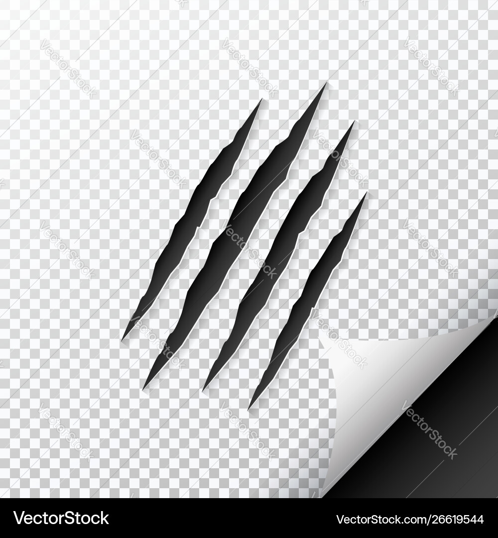 Claws scratching animal Claws scratching animal vector image