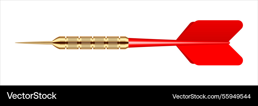 Dart arrow with metal tip and shadow Vector Image