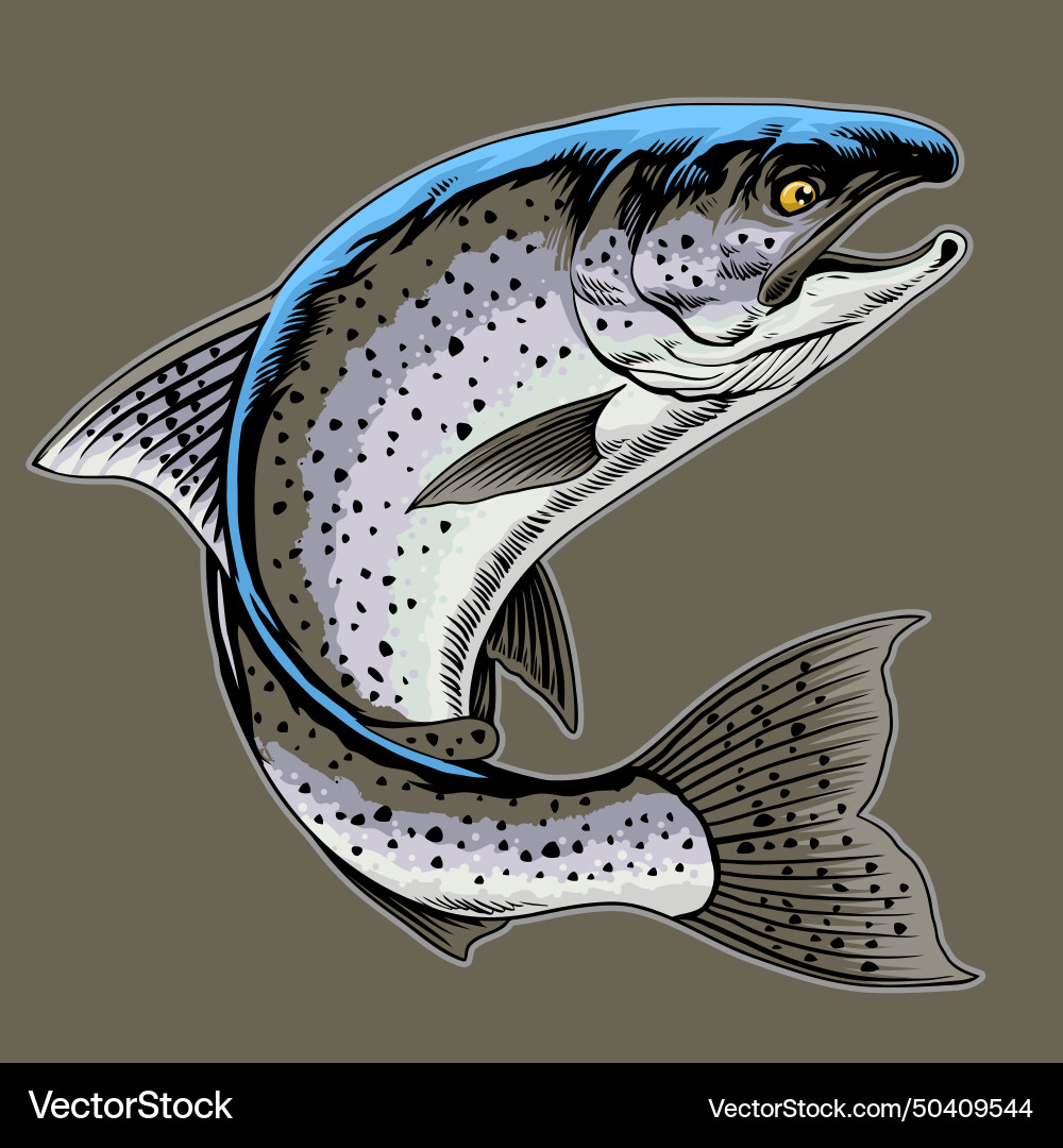 Realistische Forellenfisch Hand gezogen Jahrgang Realistische Forellenfisch Hand gezogen Jahrgang vektorbild