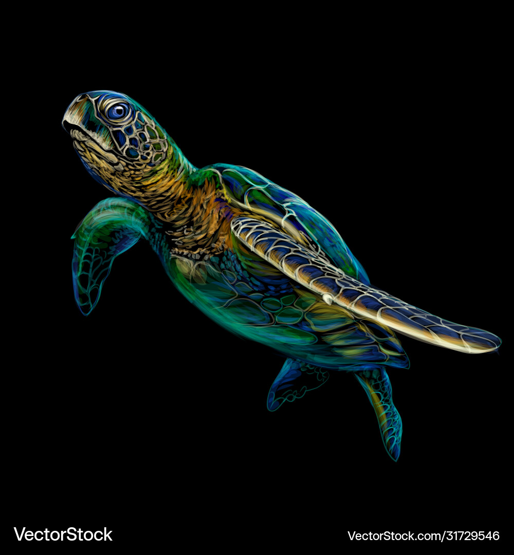 Realistic Sea Turtle Artwork Royalty Free Vector Image