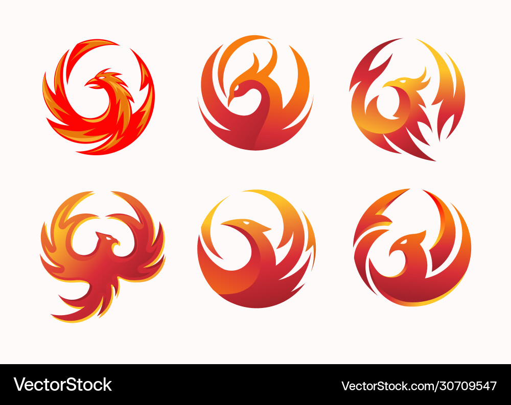 Phoenix Circle Flame Collection vector image