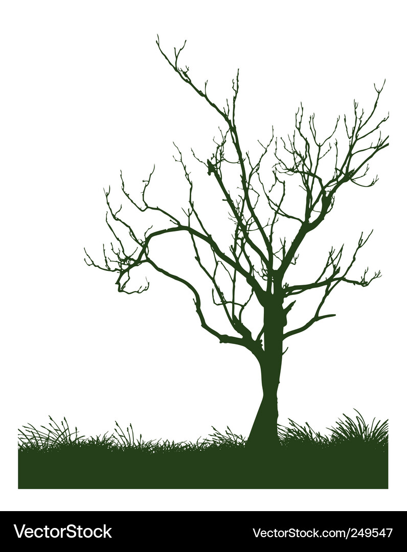 Tree Vector Image