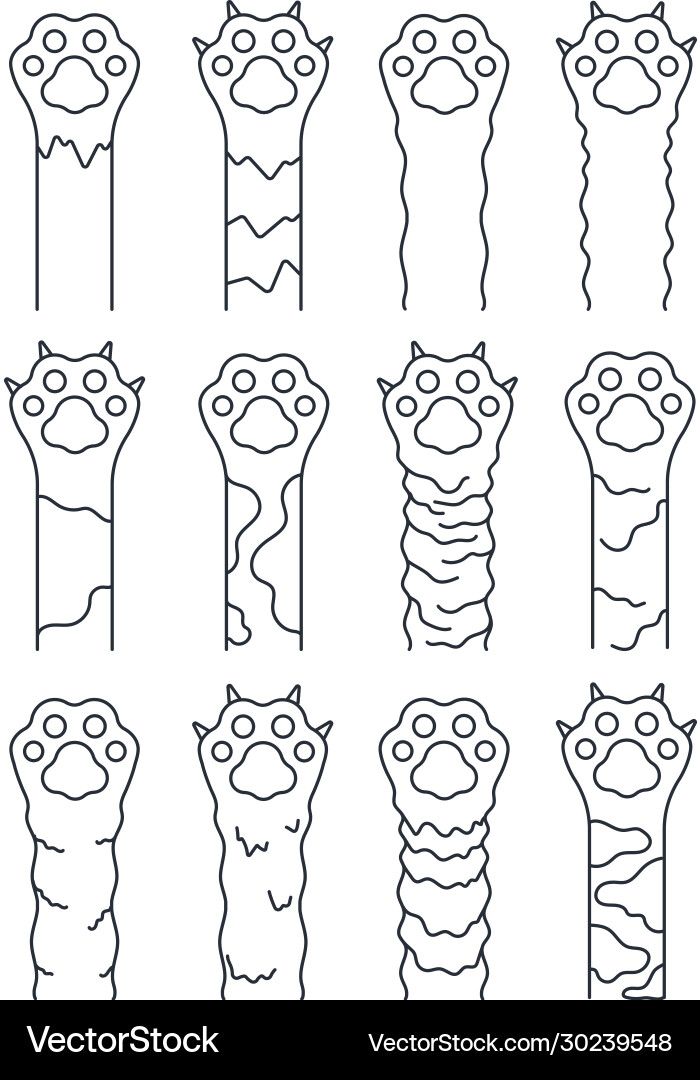Cat paws sketch line pets simple fun kitten Cat paws sketch line pets simple fun kitten vector image