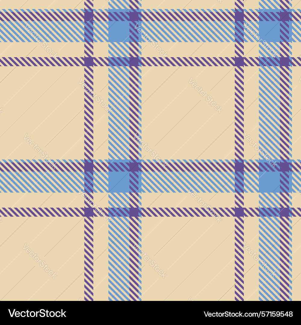 Luxurious tartan pattern with intricate weaving vector image