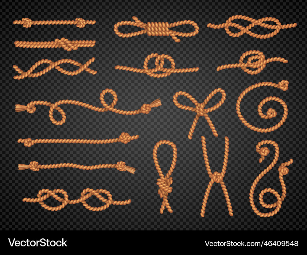 Rope with knot realistic marine curved Rope with knot realistic marine curved vector image