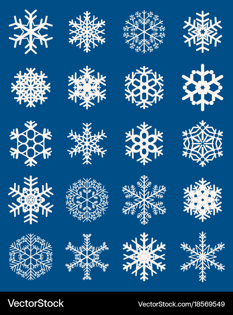 Set of different snowflakes vector image