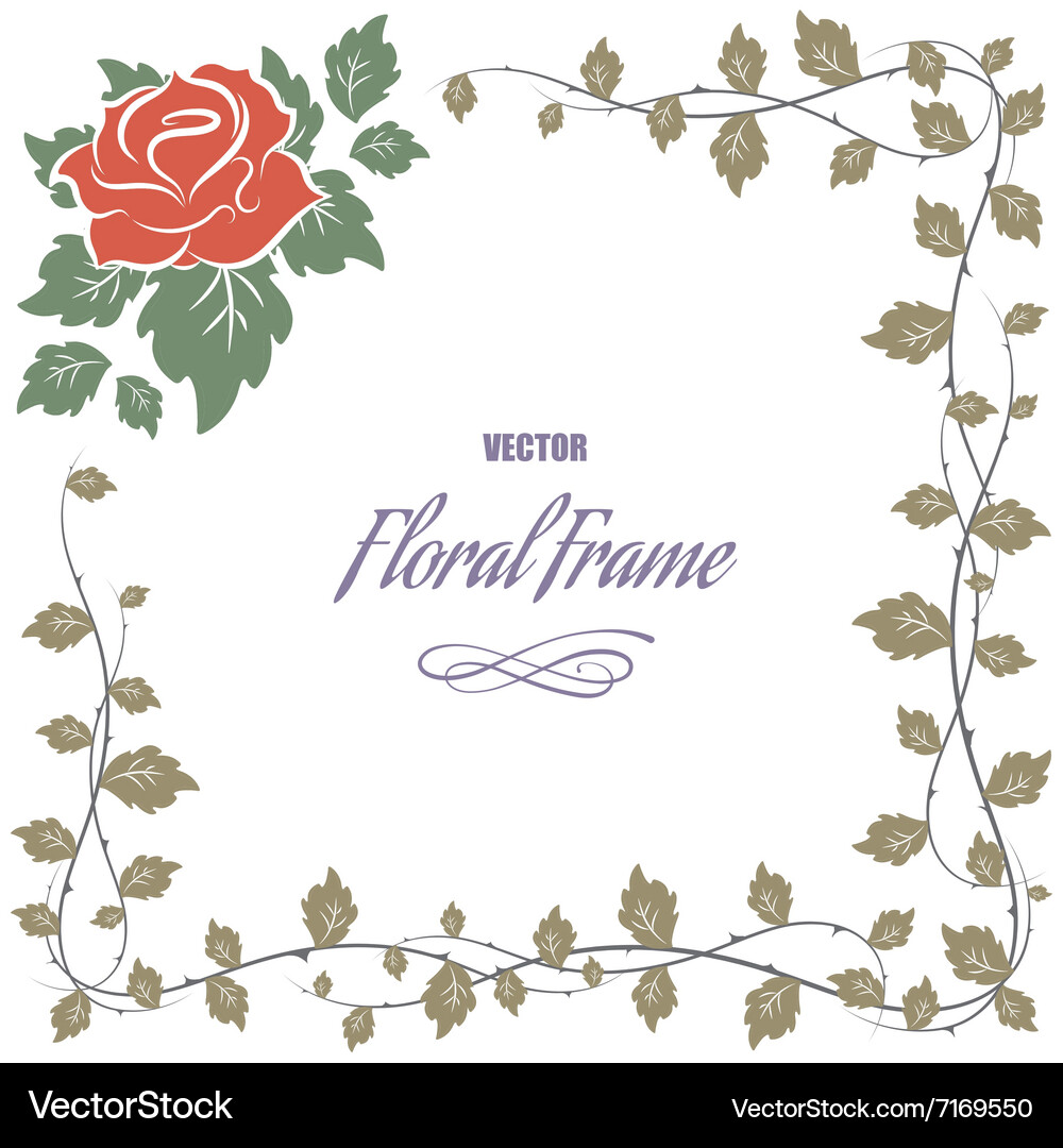 Floral frame Vector Image