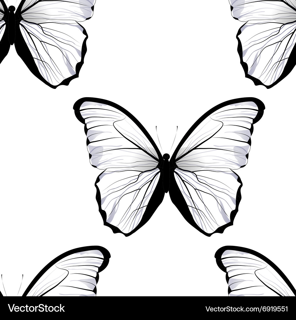 Seamless tiling repeating butterfly pattern Vector Image