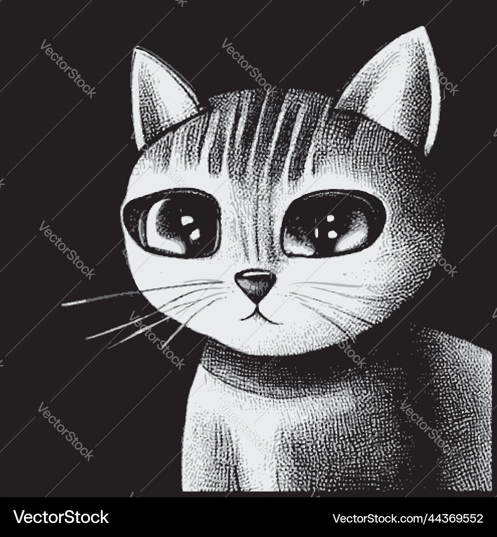 White cat portrait Royalty Free Vector Image - VectorStock