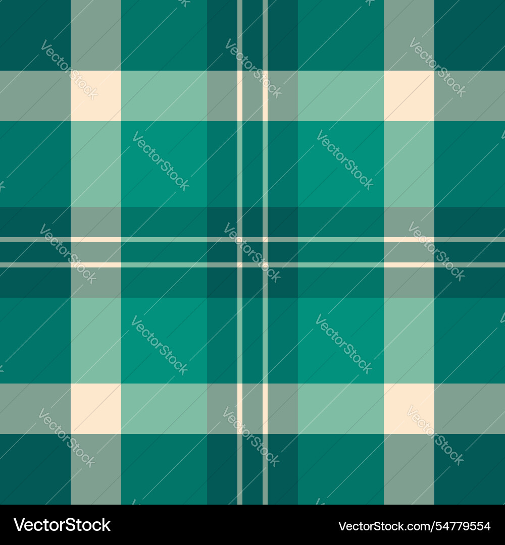 Frame check tartan texture expressive background Vector Image