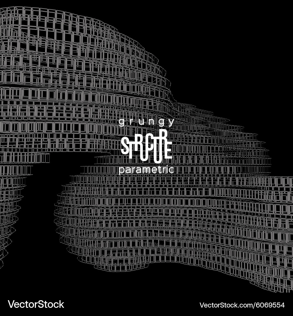 Grunge parametric structure design vector image
