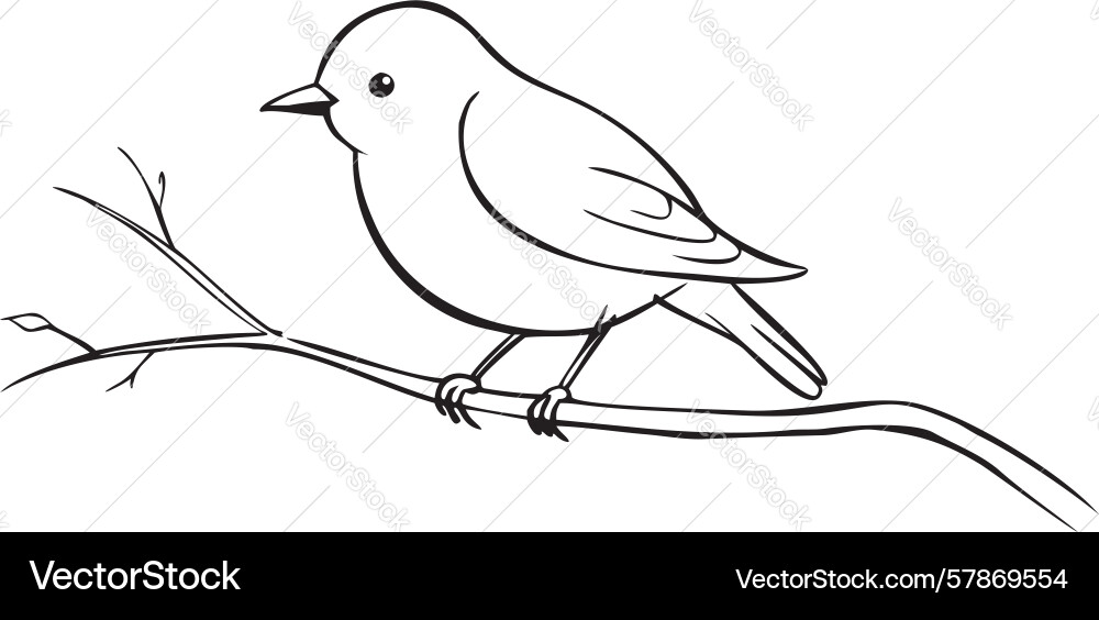 Simple outline drawing of a bird on tree branch Vector Image