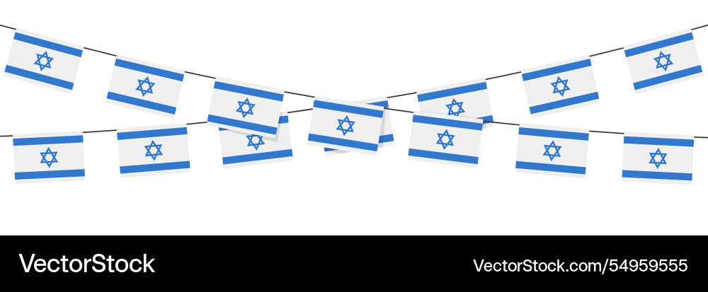 Country flag of israel white Country flag of israel white vector image