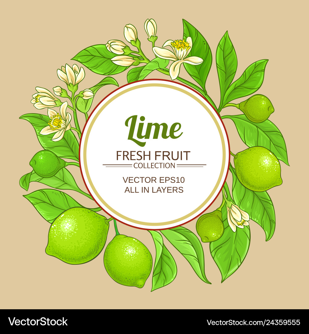 Lime branches frame on color background Lime branches frame on color background vector image