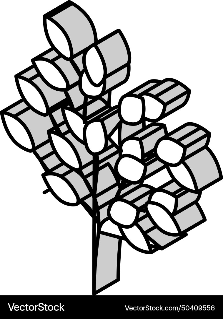 Sakaki tree branch shintoism isometric icon Vector Image