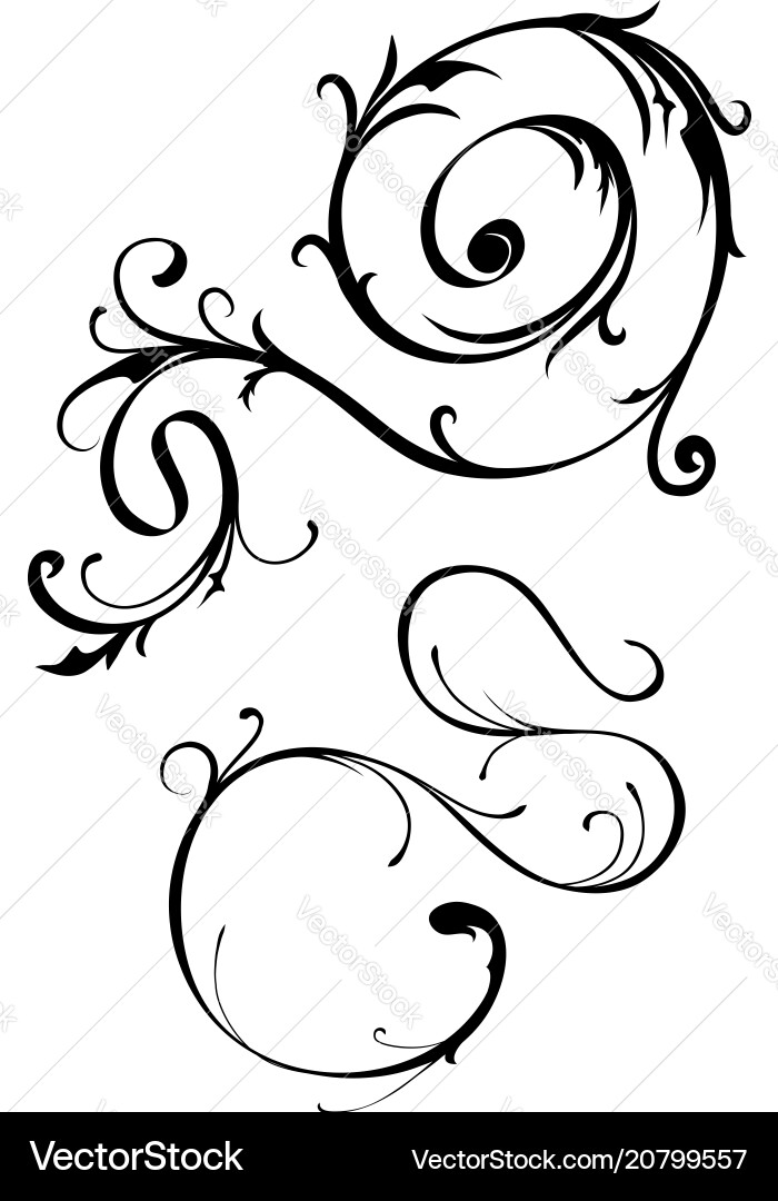 Ornate Scroll Elements vector image