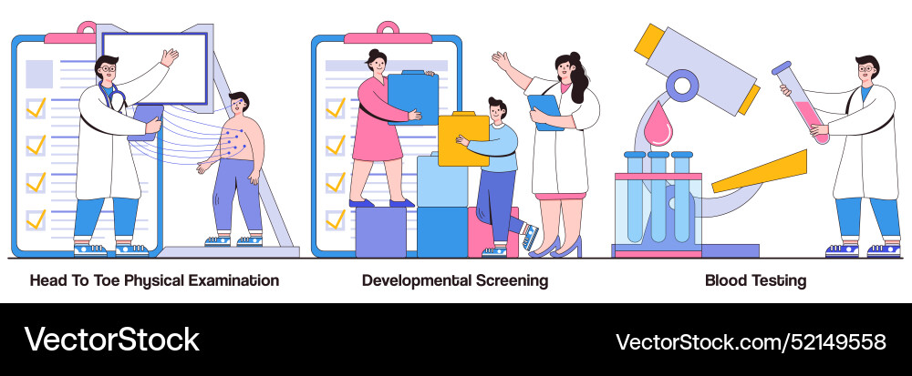 Head-to-toe physical examination developmental Vector Image