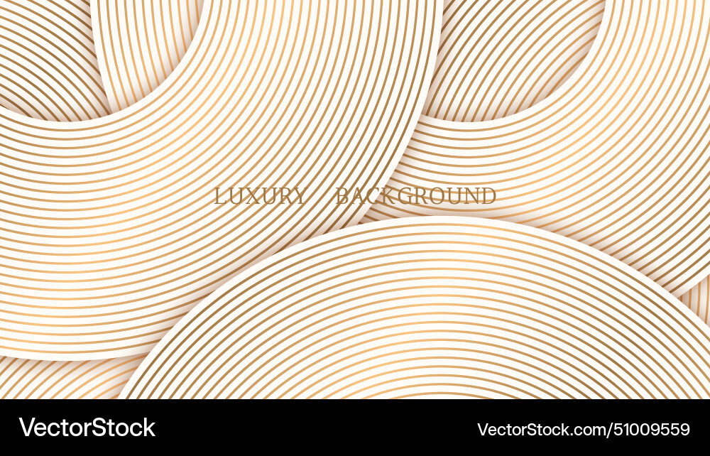 Luxury abstract background with circle line Luxury abstract background with circle line vector image