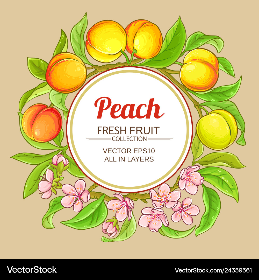 Peach branches frame on color background Peach branches frame on color background vector image