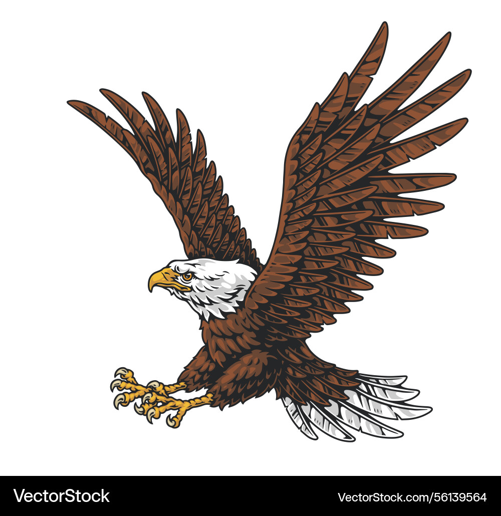 Majestic eagle soaring through the sky Majestic eagle soaring through the sky vector image