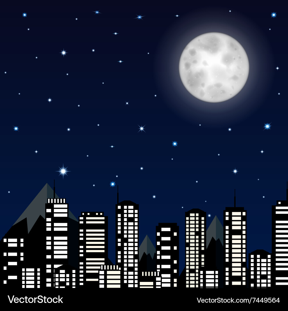 Night Sky Cityscape Vector Image