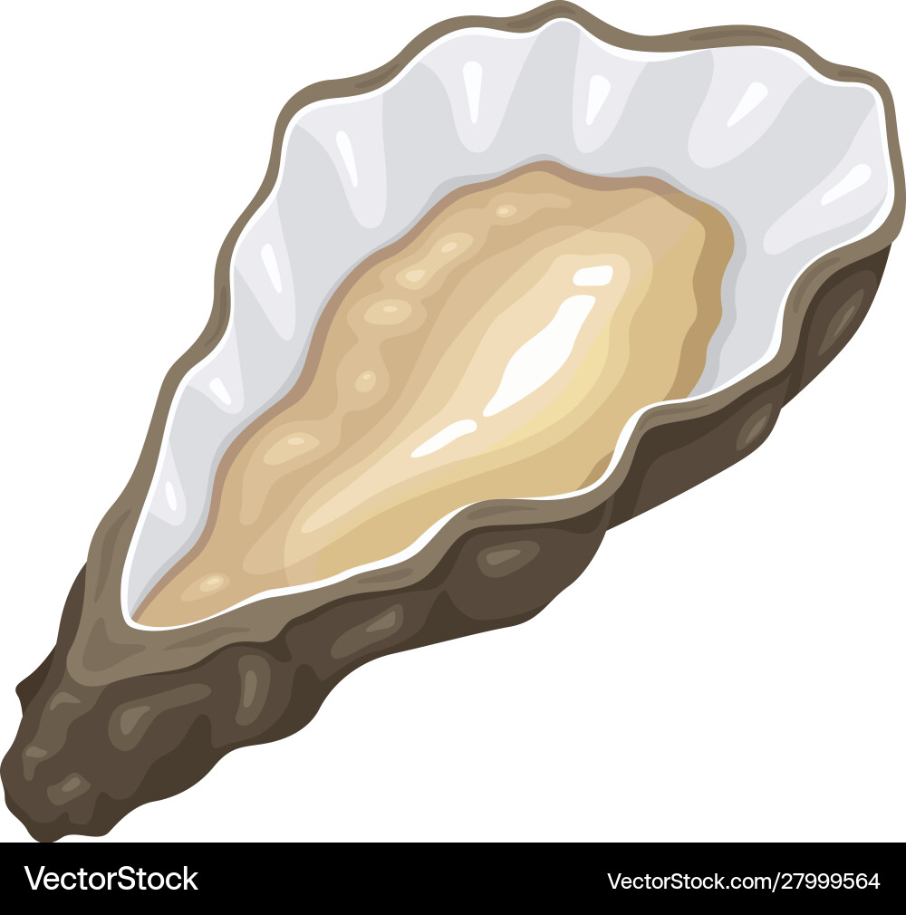 Oyster sea icon healthy seafood and shellfish vector image