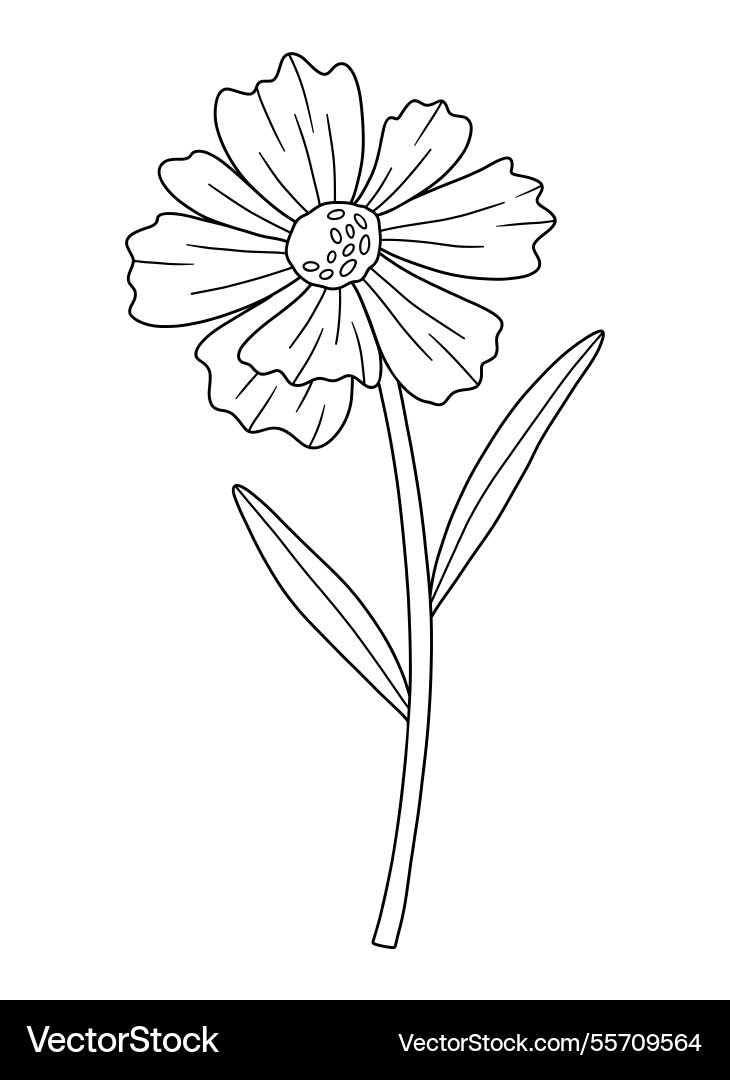 Wildflower in Linie Kunst Stil schwarze Kontur Wildflower in Linie Kunst Stil schwarze Kontur vektorbild