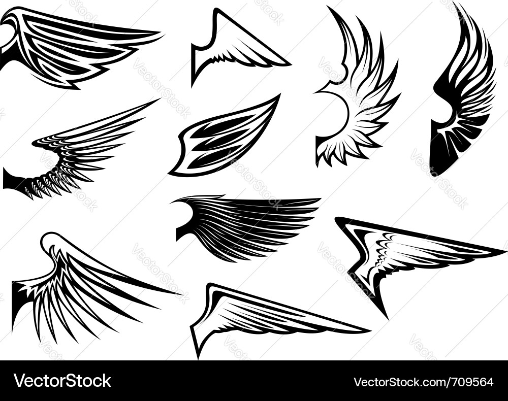 Wing Symbol Collection vector image
