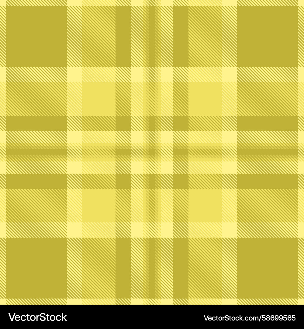 Timeless tartan pattern ideal for creating Vector Image