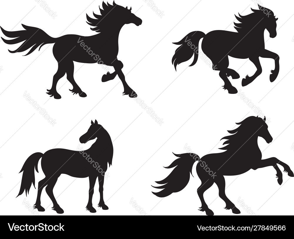 Silhouettes horses vector image