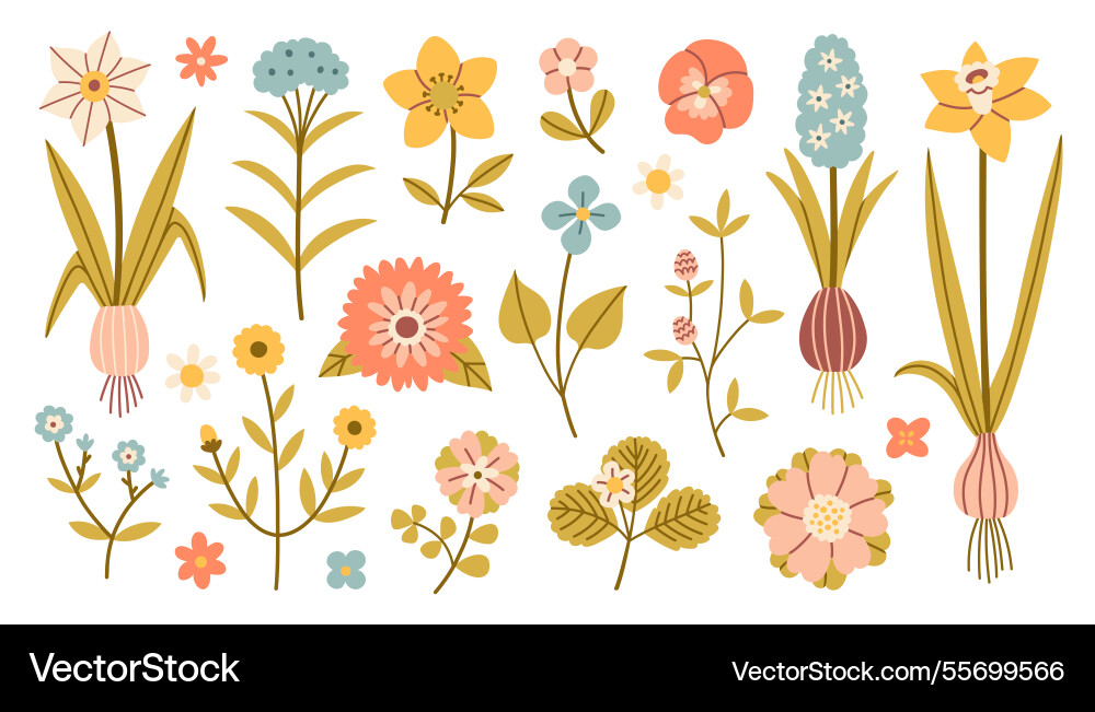 Spring flower set isolated cute flowers Vector Image