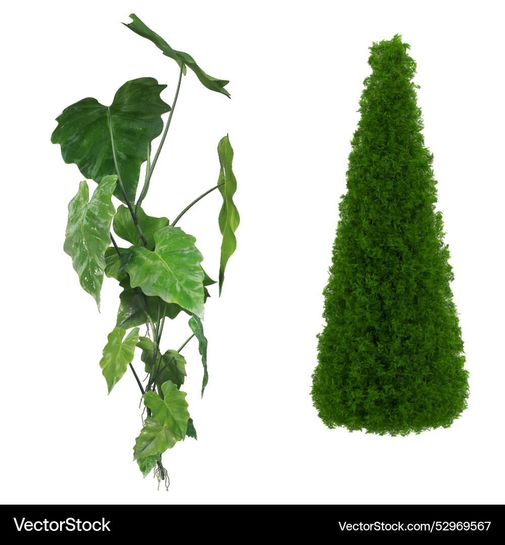 Tree collection - set of green trees Vector Image