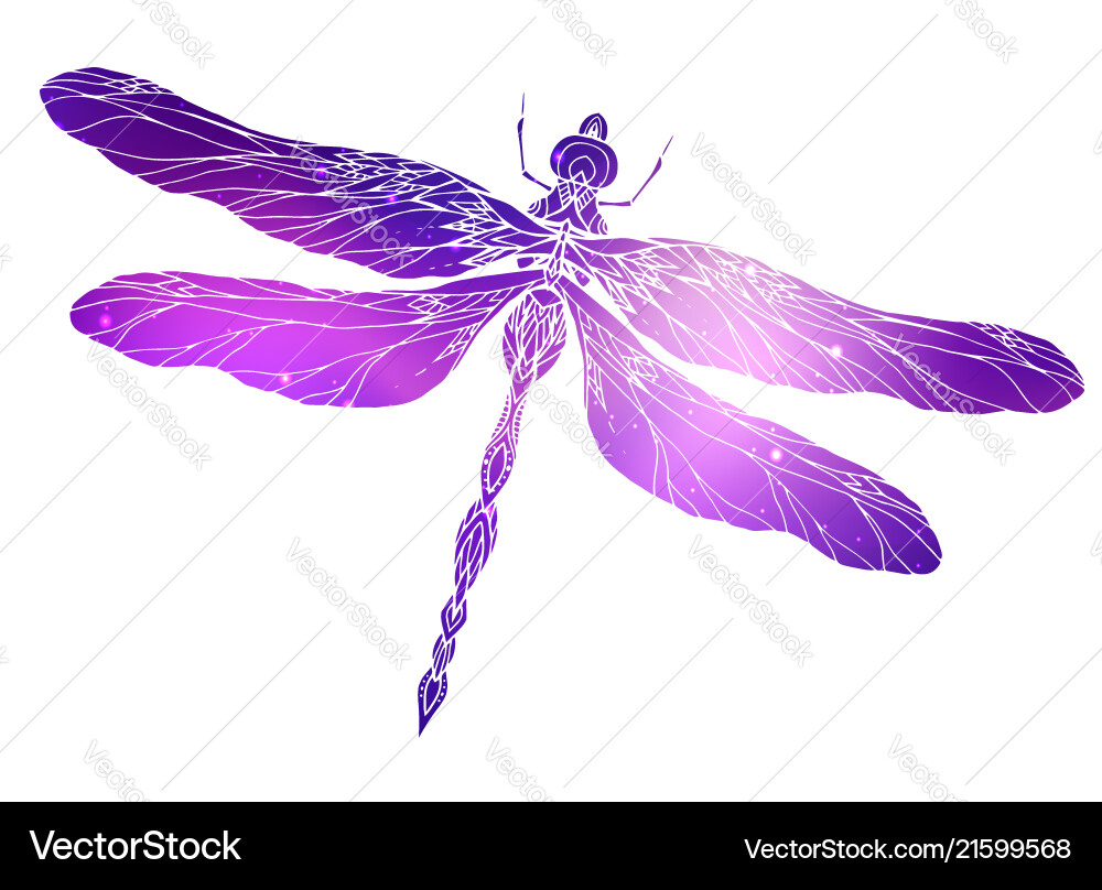 Dragonfly with a boho pattern and cosmic Dragonfly with a boho pattern and cosmic Vector Image