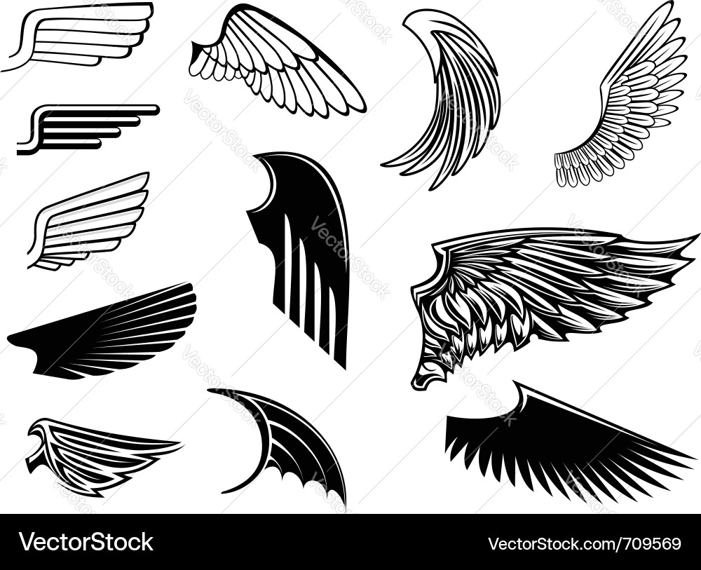 Winged Symbol Set vector image