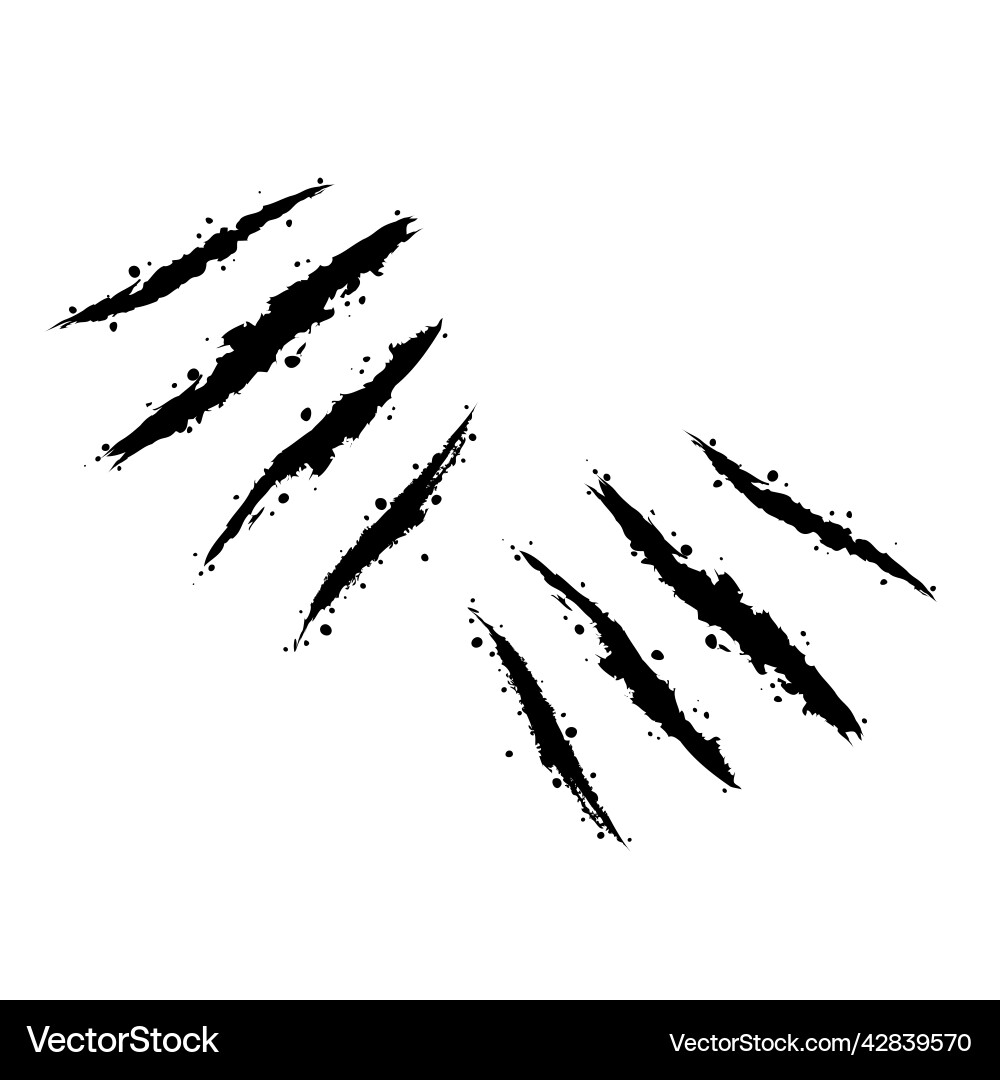Sharp Claw Scratches on White Vector Image