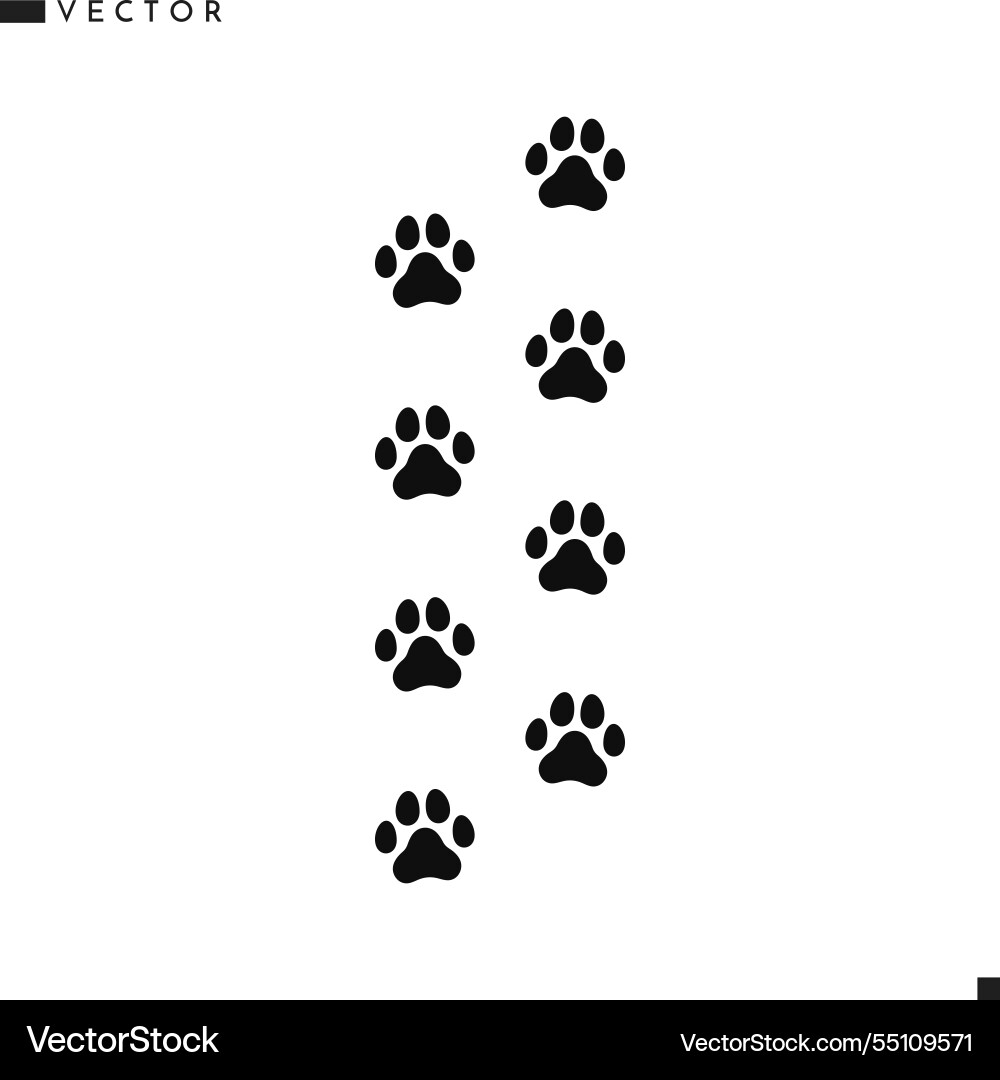 Cat Paw Print Silhouette Set vector image