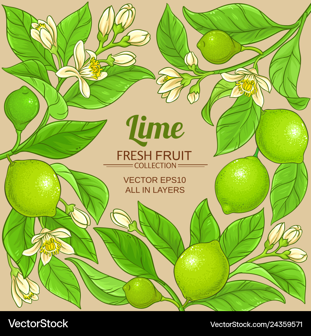 Lime branches frame on color background Vector Image