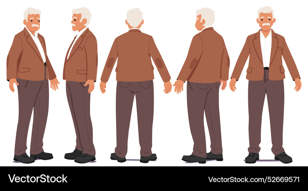 Showing multiple views vector image