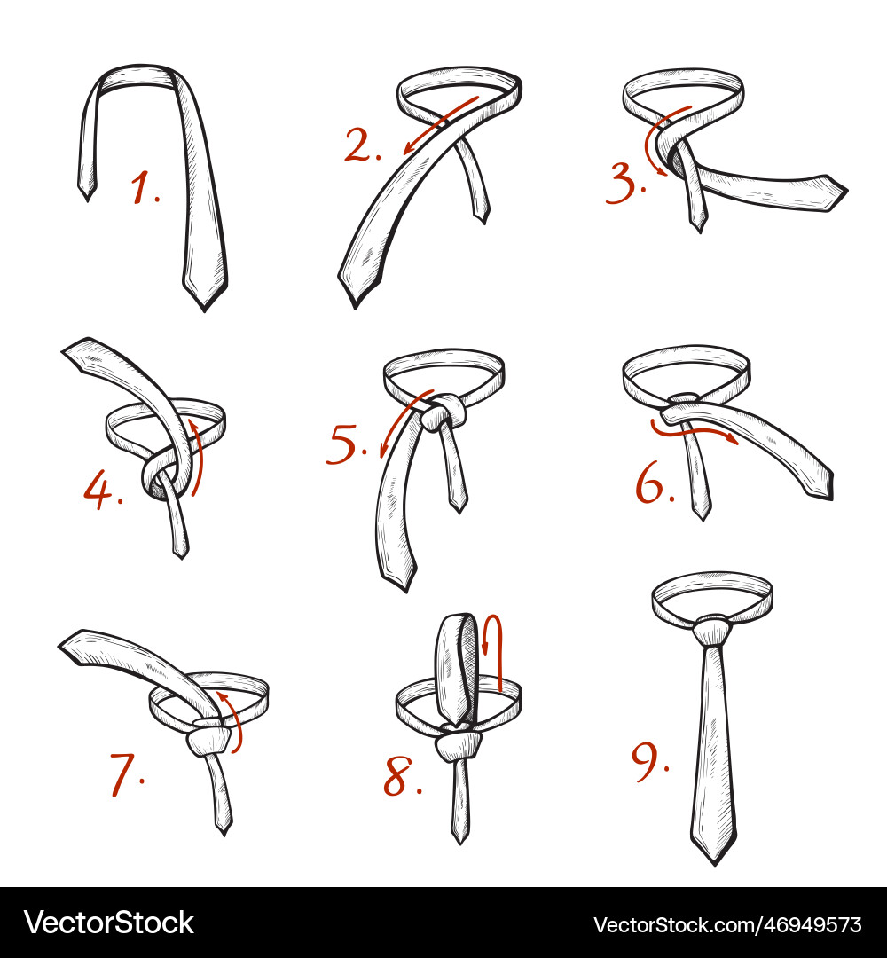 Tie Knot Tutorial - Step by Step Guide vector image