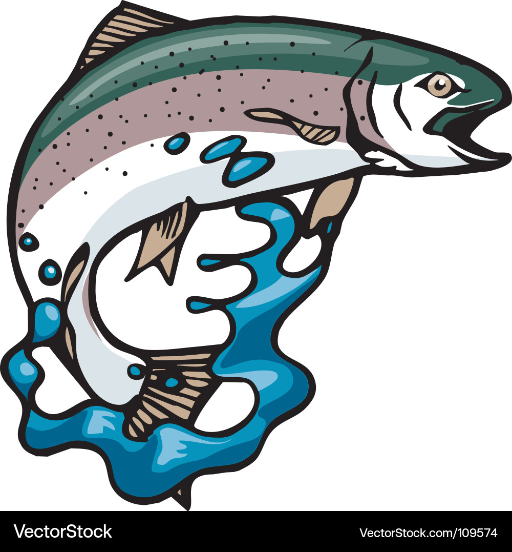 Rainbow Trout Splash vector image