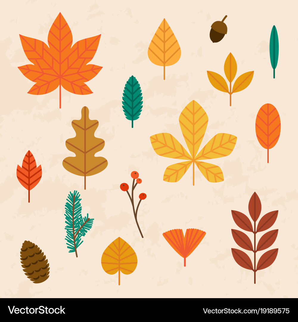 Autumn Leaf Set - Flat Style Royalty Free Vector Image