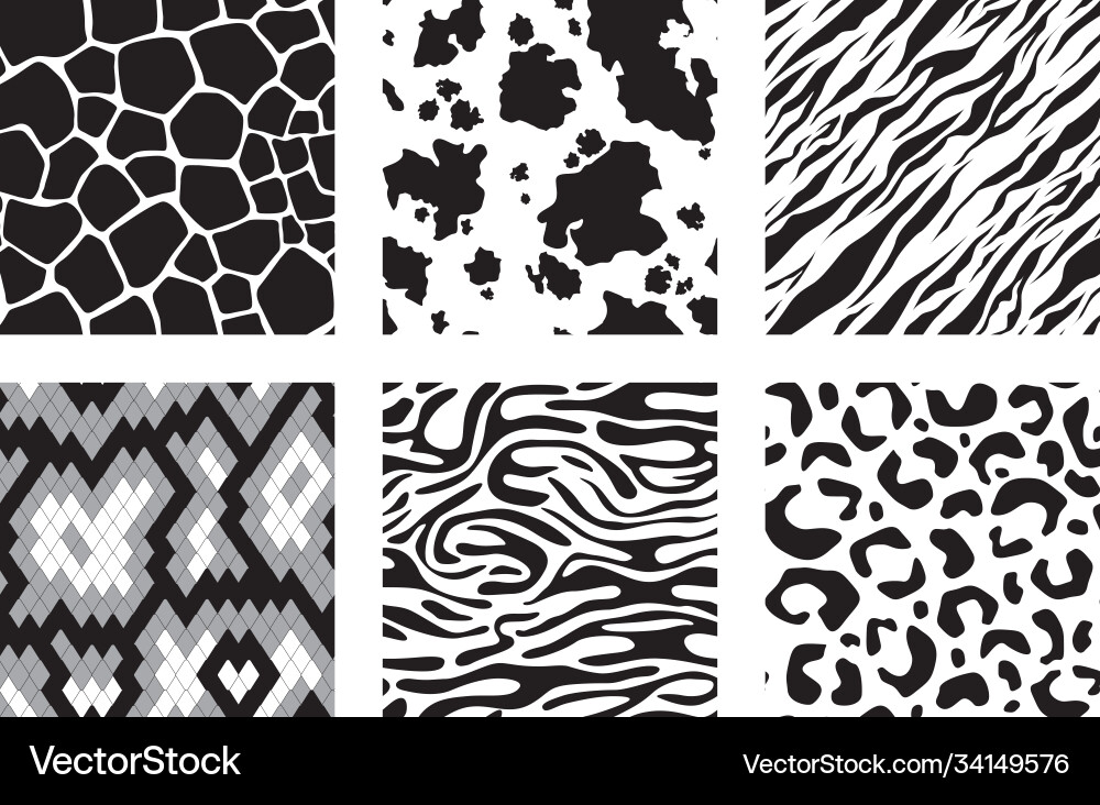 Animals skins patterns tiger giraffe zebra Animals skins patterns tiger giraffe zebra vector image